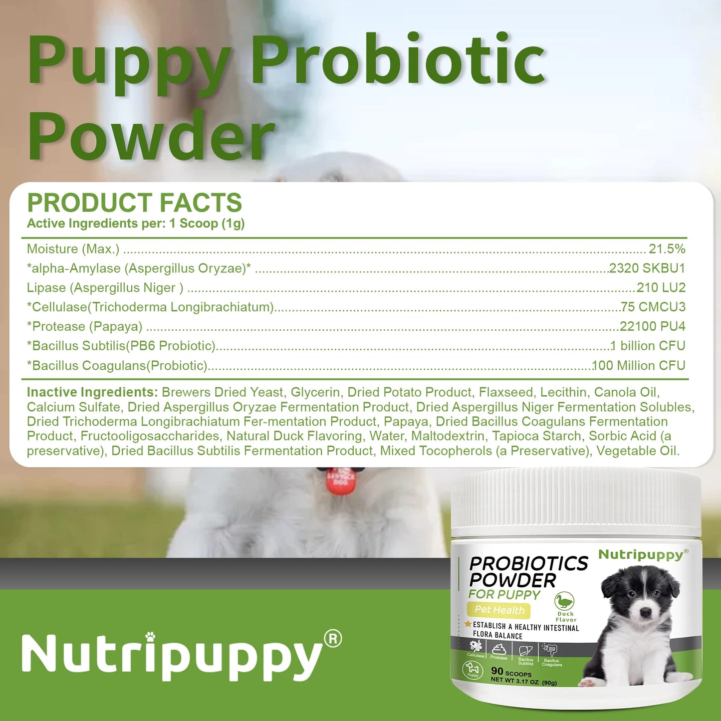 Dog Probiotic Powder Supplement - Supports Digestive