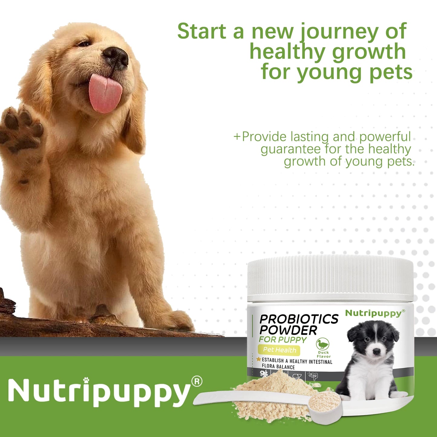 Dog Probiotic Powder Supplement - Supports Digestive