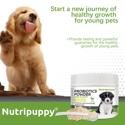 Dog Probiotic Powder Supplement - Supports Digestive