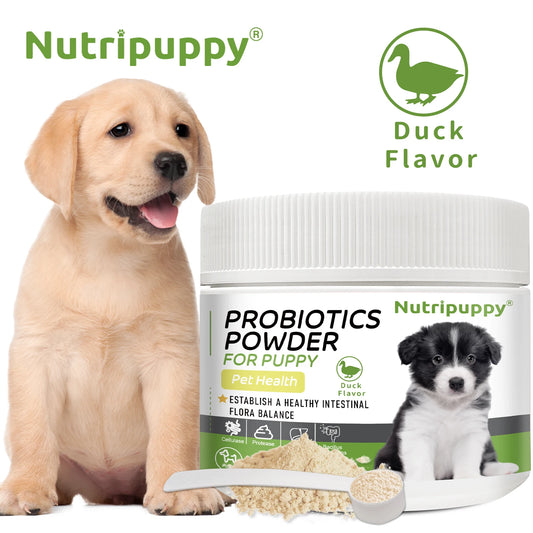 Dog Probiotic Powder Supplement - Supports Digestive